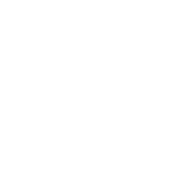 Developer DX Icon